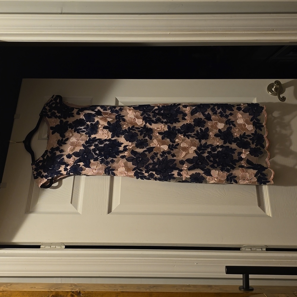 Roz & Ali dress, size 4, back zipper pink lining with blue and pink lace flowers